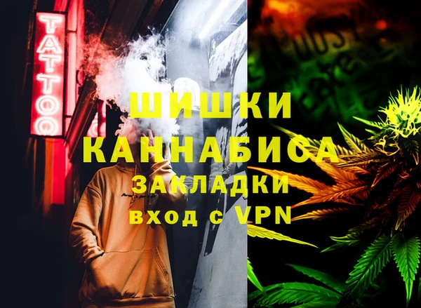сатива Белокуриха