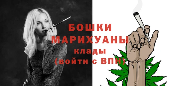 сатива Белокуриха