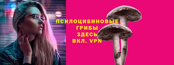 сатива Белокуриха