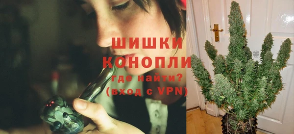 сатива Белокуриха