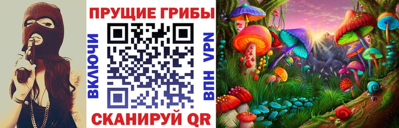 Псилоцибиновые грибы Psilocybine cubensis  как найти наркотики  Будённовск 